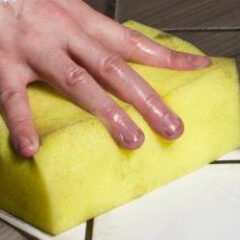 Professional Sponge 160x110x62mm