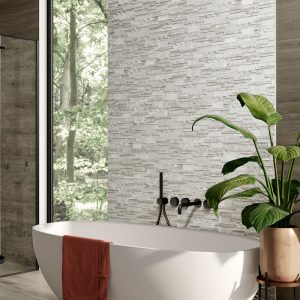 Porcelain Wall Tiles