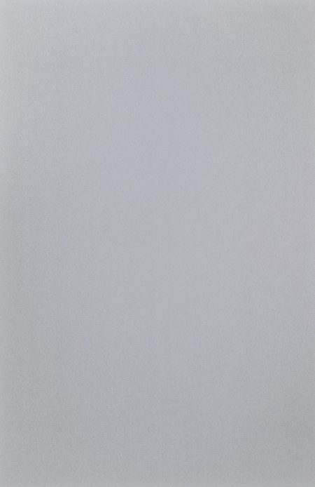 2cm thick Element Grey Smooth Porcelain Tiles for outside use 60x90x2cm - Image 2